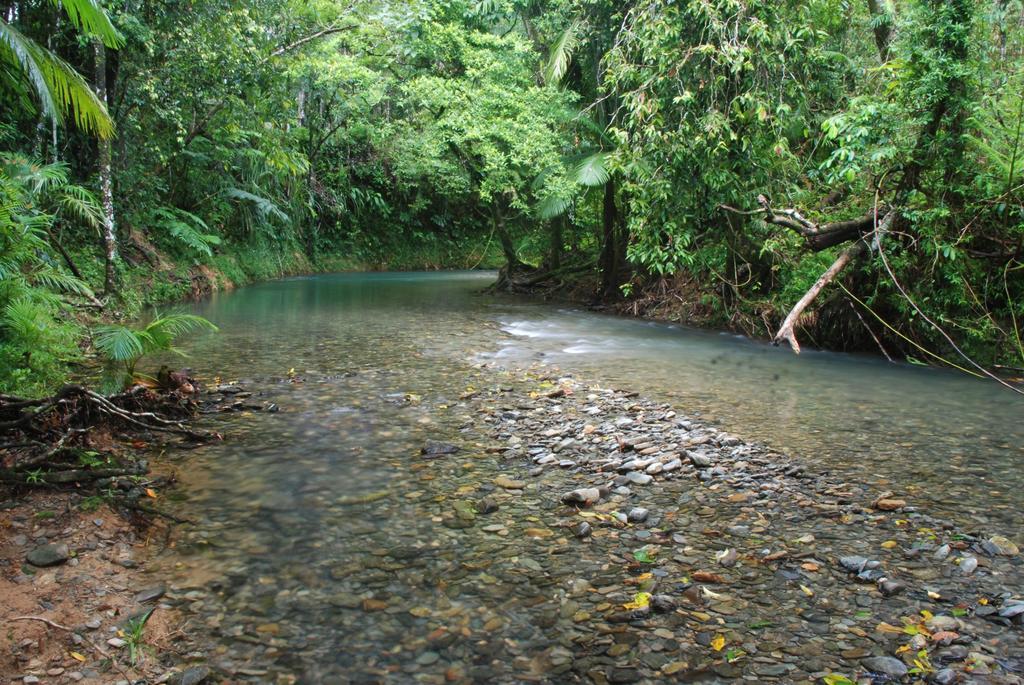 Heritage Lodge In The Daintree Cape Tribulation Exterior foto